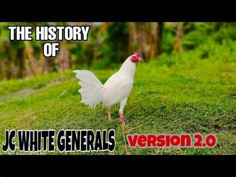 joe zanino white history|HISTORY OF JC WHITE GENERAL VERSION 2.0 .